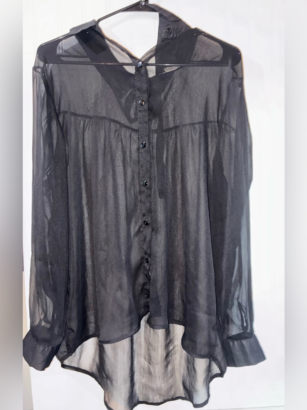 Passport Sheer Black Button-Down Blouse